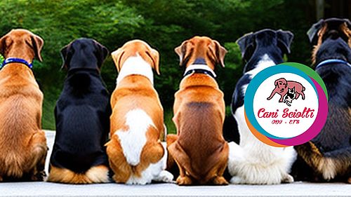 Immagine con cani di schiena e logo dell'associazione Cani Sciolti